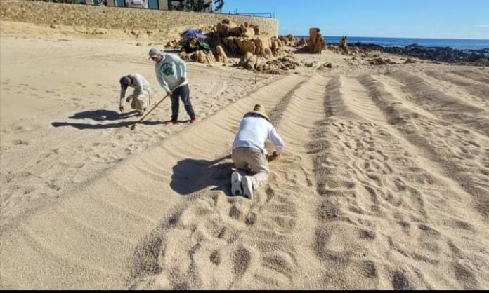 06 20 Jornadas De Limpieza Realizó Zofemat Los Cabos En El 2021 Recolectan Más De 800 Toneladas De Basura