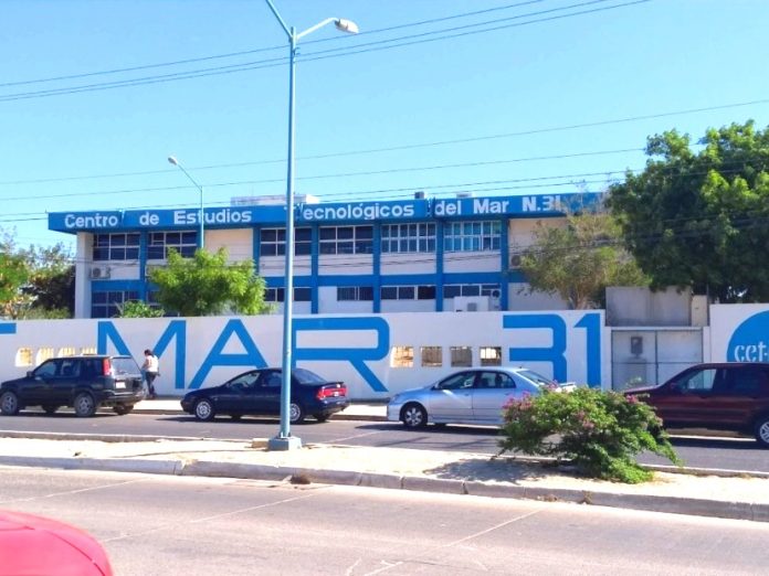 02 Para Fomentar La Educación Y La Cultura, Pintarán Mural Interactivo Con Pasajes De BCS En La Barda Del Cetmar #31 1