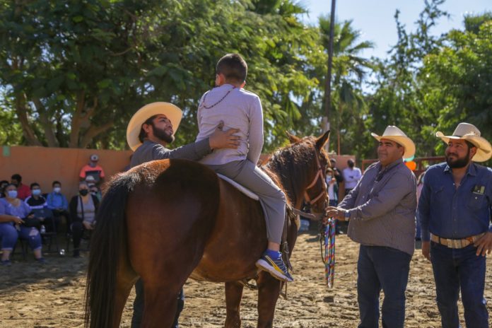 02 ¡Primero La Salud De Quien Más Lo Requiere! En Los Cabos Se Otorgan Equinoterapias Totalmente Gratuitas 2