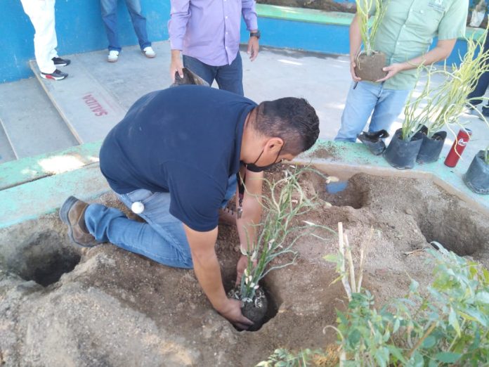 04 Para Promover La Educación Ambiental En La Niñez, Continúan Las Reforestaciones En Instituciones Educativas 1
