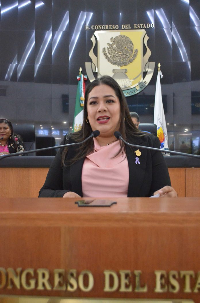 DIP GABRIELA CISNEROS