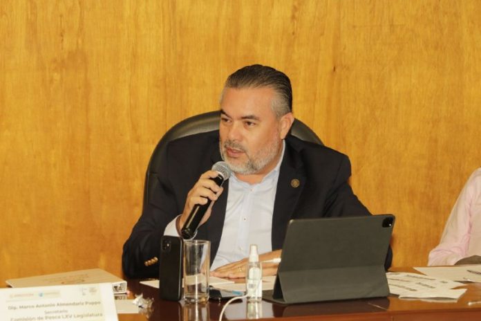 Diputados 8