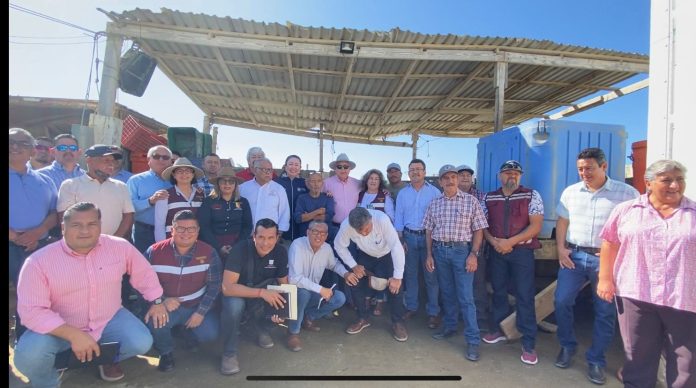 FOTO BOLETIN 432 TERCER DIA MULEGE BAHIA TORTUGAS