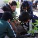 REINICIA SIPINNA ACTIVIDADES DEL PROGRAMA DE REFORESTACIÓN “PLANTANDO TUS DERECHOS”