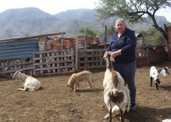 GOBIERNO IMPULSARÁ ECONOMÍA DE PRODUCTORES A TRAVÉS DE FESTIVAL DEL CABRITO EN SAN FRANCISCO DE LA SIERRA