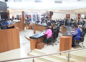 Autoriza el pleno licencia temporal a los diputados Armando Martínez Vega y Luis Armando Díaz