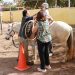 MEDIANTE LA EQUINOTERAPIA ATENDERÁ EL CAM 9 A NIÑOS CON DISCAPACIDADES DIVERSAS
