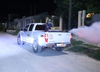 DESARROLLA SALUD ESTATAL SEGUNDO CICLO DE FUMIGACIÓN CONTRA EL DENGUE DE ESTE 2024