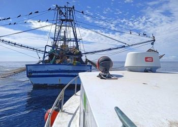 PROMUEVE FONMAR ENFOQUE SUSTENTABLE EN ESPECIES MARINAS DE BCS