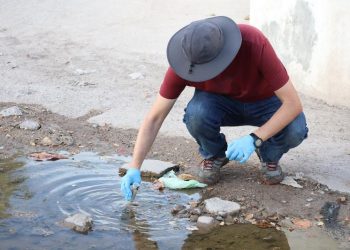 CONTINÚAN MUESTREOS EN SEGUIMIENTO EPIDEMIOLÓGICO DE MELIOIDOSIS