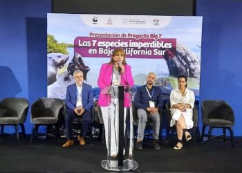 PROMUEVEN A BCS COMO DESTINO TURÍSTICO SUSTENTABLE