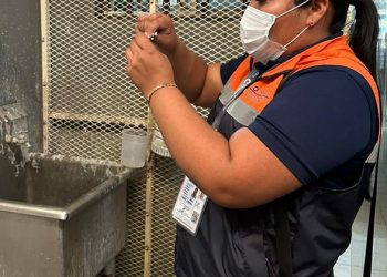 LLAMA SECTOR SALUD A FORTALECER MEDIDAS DE HIGIENE EN ALIMENTOS