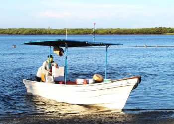 TRABAJA GOBIERNO DE BCS EN CERTIFICACIÓN PARA EXPORTACIÓN DE PRODUCTOS PESQUEROS