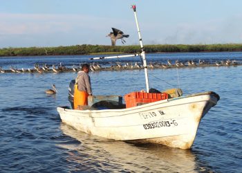 TRABAJA GOBIERNO EN PROGRAMA DE SEGURO DE VIDA A PESCADORES Y ACUACULTORES