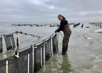 TRABAJA SEPADA EN CRUZADA CONTRA LAS VIOLENCIAS DE GÉNERO