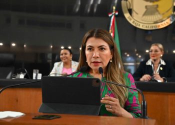 Sí se requiere una reforma judicial, pero no la farsa que propone Morena: diputada Lupita Saldaña
