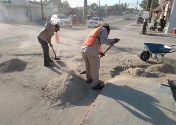 Sigue la limpieza de camellones y avenidas de San José del Cabo