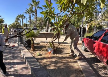 Gobierno Municipal implementa protocolo de defunción con personas que vivieron en condición de calle