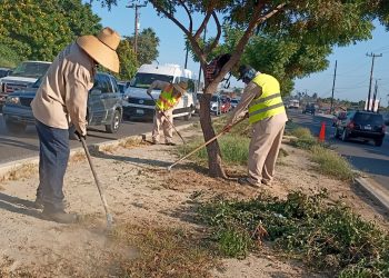 Refuerza Servicios Públicos el mantenimiento en camellones