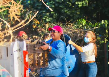 LLAMA COMISIONADA DE LA SALUD A ELIMINAR CRIADEROS DE ZANCUDOS PARA EVITAR MÁS CASOS DE DENGUE