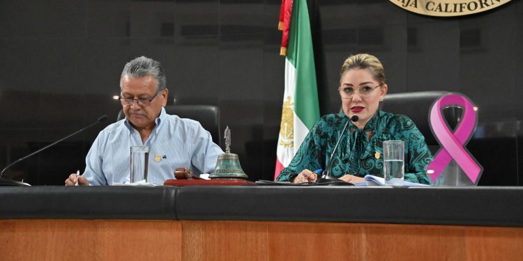 e integró el comité de transparencia de la XVII Legislatura de BCS. La diputada Dalia Collins preside el comité en conjunto con el diputado Erick Iván Agundez Cervantes (PVEM) y la diputada Lourdes Cornejo Rendón (NABCS).