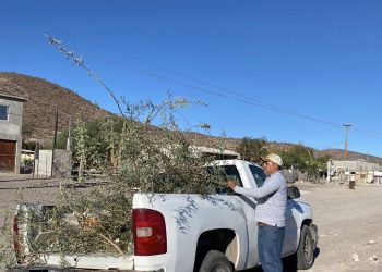 CONTINÚAN LAS JORNADAS DE LIMPIEZA SOBRE LOS DERECHOS DE VÍA DE LA CARRETERA TRANSPENINSULAR