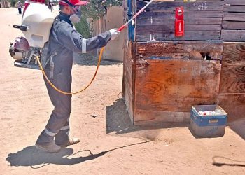 CONTINÚAN ACCIONES DE PREVENCIÓN Y CONTROL DE RICKETTSIOSIS EN LA ZONA DE VIZCAÍNO