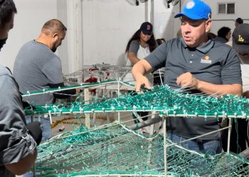 GOBIERNO DE BCS INVITA AL ENCENDIDO DE LUCES NAVIDEÑAS EN LA EXPLANADA DE PALACIO DE GOBIERNO