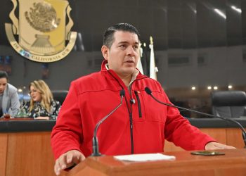 Exhorta Congreso de BCS a SADER, SENASICA y Cámara de Diputados a emprender acciones para evitar la propagación del gusano barrenador