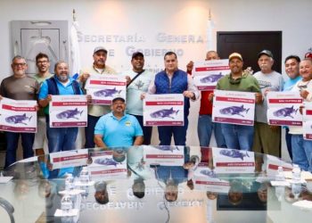 OTORGAN 27 PERMISOS PARA AVISTAMIENTO DE TIBURÓN BALLENA A PRESTADORES DE SERVICIOS TURÍSTICOS DE LA PAZ