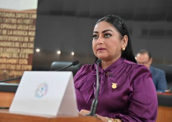 Propone diputada Dalia Collins que cada diciembre sea mes de la inclusión de las personas con discapacidad