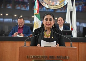 La restricción de pirotecnia impacta favorablemente a la salud y seguridad de las personas: Diputada Dalia Verónica Collins Mendoza