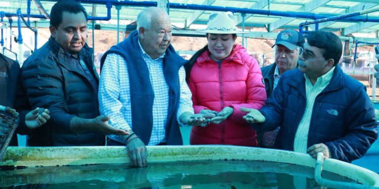 Durante un encuentro con productores pesqueros de la Zona Pacífico Norte en Bahía Asunción, y en presencia del titular de la Comisión Nacional de Acuacultura y Pesca (CONAPESCA), Alejandro Flores Nava, el gobernador Víctor Manuel Castro Cosío precisó que será determinante mantener la coordinación y cooperación entre los tres órdenes de gobierno y los propios pescadores para garantizar un aprovechamiento razonable de los recursos marinos en la región.