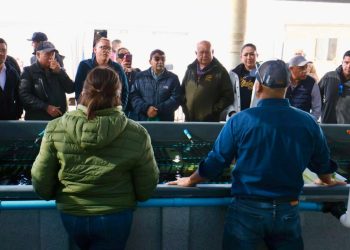 GOBIERNO DEL ESTADO, CONAPESCA, Y PRODUCTORES SUMAN ESFUERZOS PARA MEJORAR APROVECHAMIENTO DE ABULÓN EN LA PACÍFICO NORTE