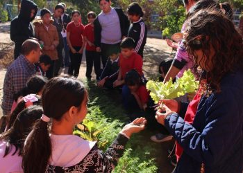 DURANTE EL 2024, MÁS DE 5 MIL 400 PERSONAS PARTICIPARON EN ACTIVIDADES DE EDUCACIÓN AMBIENTAL