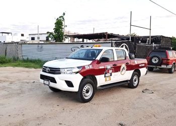 REDUCEN EN BCS LA INCIDENCIA DEL DENGUE DURANTE EL CIERRE DE 2024