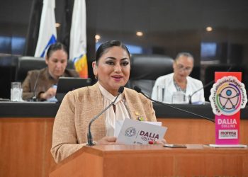 Presentan reformas para garantizar espacios recreativos a personas con discapacidad