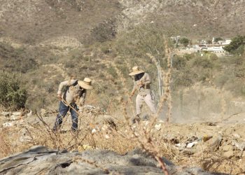 Servicios Públicos Municipales de Los Cabos atiende reportes ciudadanos ante basureros clandestinos en Col. Vista Hermosa Plus