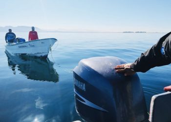 Realizarán un estudio de la pesca deportiva en los cinco municipios de BCS