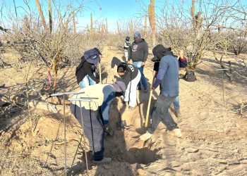 Con trabajo coordinado entre los tres órdenes de gobierno, colectivo y familiares, localizan inhumaciones clandestinas en La Paz