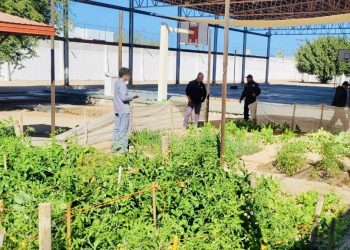 Adolescentes internos del CIEA, son capacitados por la Brigada de Educación Forestal No. 55