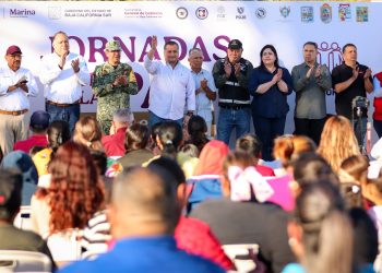 Inmovilizados y conformistas dirigentes del Partido Verde, sólo serán rémoras de Morena