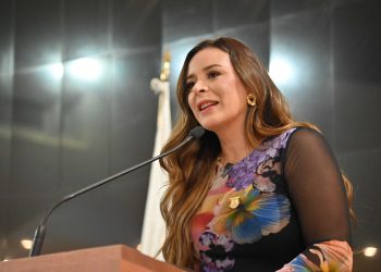 “Impulsaremos una agenda legislativa con perspectiva de género y derechos humanos”: Diputada Arlene Moreno Maciel