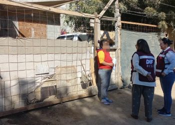 Distribuye SEDIF apoyo a familias de los cinco municipios de BCS