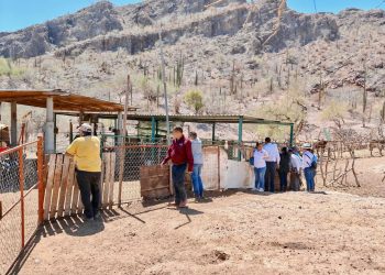 CRECE INTERES POR CULTIVOS HIDROPÓNICOS PARA ENFRENTAR SEQUÍA Y FOMENTAR SUSTENTABILIDAD