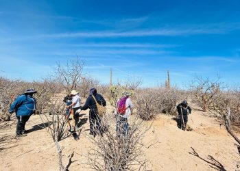 Colectivos de búsqueda, familiares y autoridades mantienen trabajos en tramo carretero a San Juan de la Costa