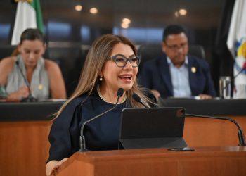 El PND carece de objetivos y acciones que resuelvan las necesidades de la sociedad: Diputada Lupita Saldaña