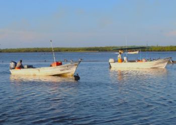 Avanza Baja California Sur en el fortalecimiento del sector pesquero y acuícola