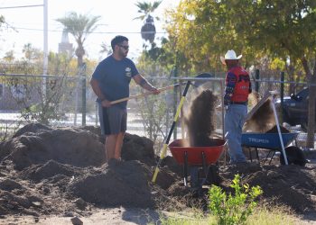 Producirá SEPUIMM 40 mil plantas para reforestación de espacios públicos
