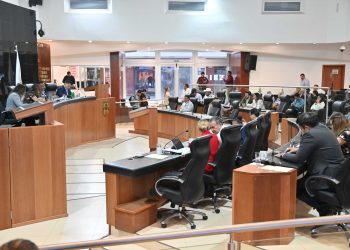 Exhorta el Congreso a PROFEPA y SEMARNAT a que investiguen las causas de la mortandad de ballenas de BCS